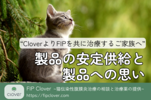 Cloverの安定した品質と供給ストーリー