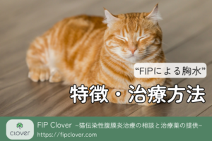 胸水とFIP治療