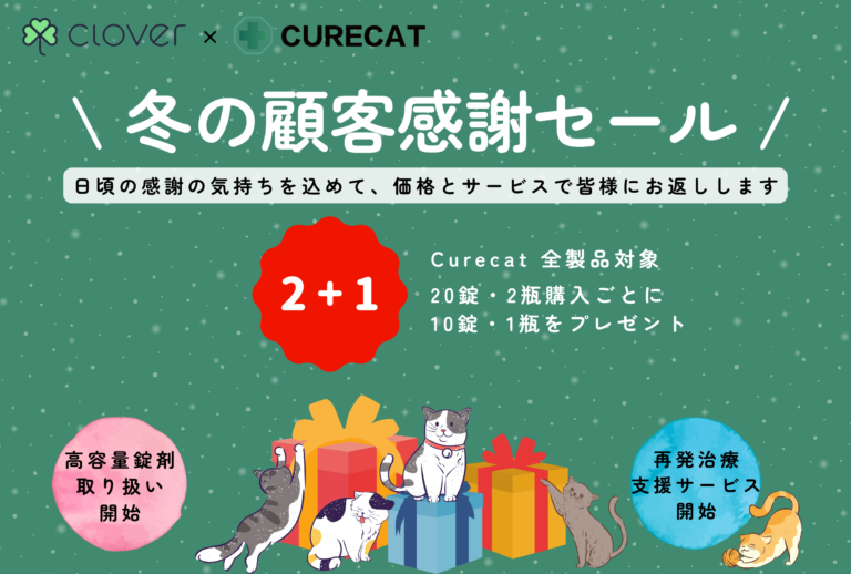 猫伝染性腹膜炎治療のFIP治療薬を販売するCloverとキュアキャットCurecatが行う年末年始特別セール案内。GS-441524やモルヌピラビル、抗ウイルス剤を混ぜた配合剤を使用してウェットタイプやドライタイプ、混合タイプ、神経眼球症状の治療を行います