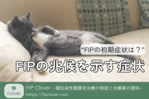 FIPの兆候を示す症状