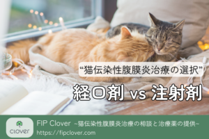 FIP治療：経口剤と注射剤の選択