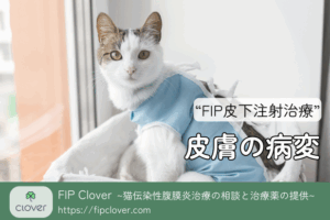 FIP治療中に起こる皮膚トラブル対策｜GS-441524注射の正しいケア