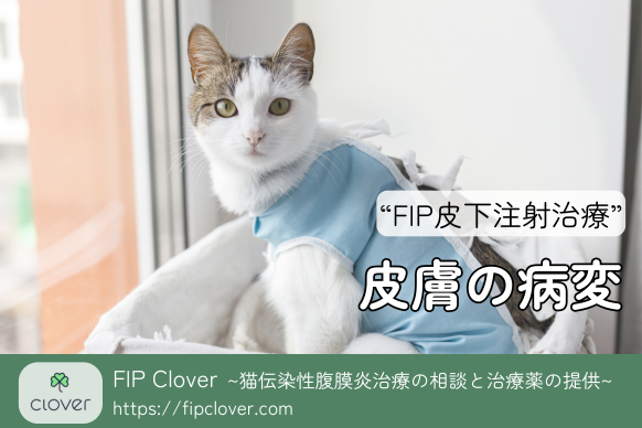 猫の病気である猫伝染性腹膜炎の治療薬GS-441524やモルヌピラビルや再発・耐性用FIP治療薬を販売しているFIPのCloverが紹介するFIP治療のGS製剤の価格や投薬方法についての徹底解説