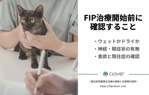 FIP治療前にチェックしたい６つの状態