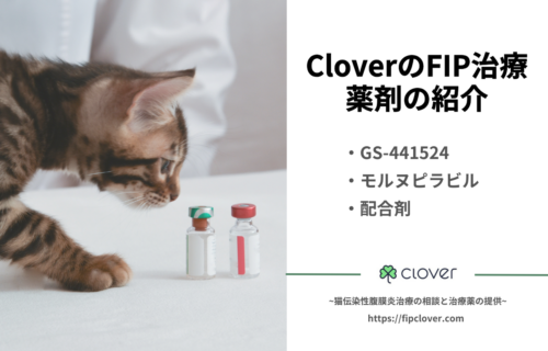 FIP治療3つの薬剤の違いと選択方法