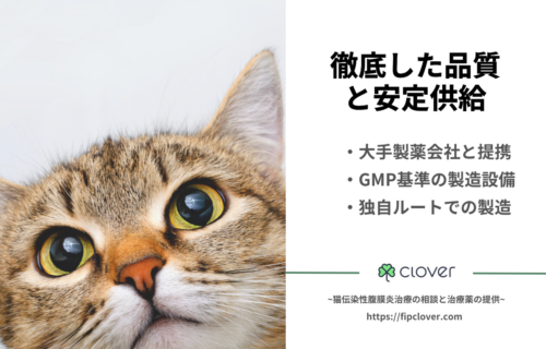 FIP治療を支えるCloverのストーリー