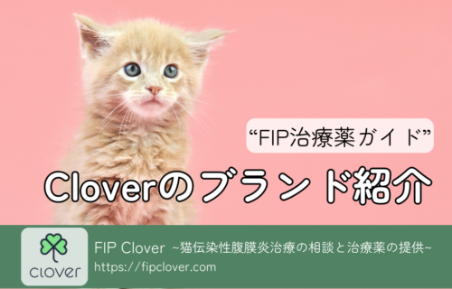 FIP治療薬ガイド｜Cloverのブランド紹介