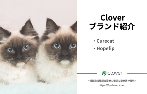 FIP治療薬ガイド｜Cloverのブランド紹介