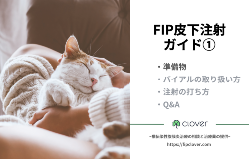 FIP治療におけるGS-441524皮下注射ガイド：準備編